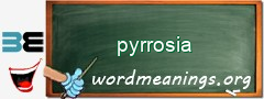 WordMeaning blackboard for pyrrosia